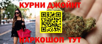 гидра Краснознаменск