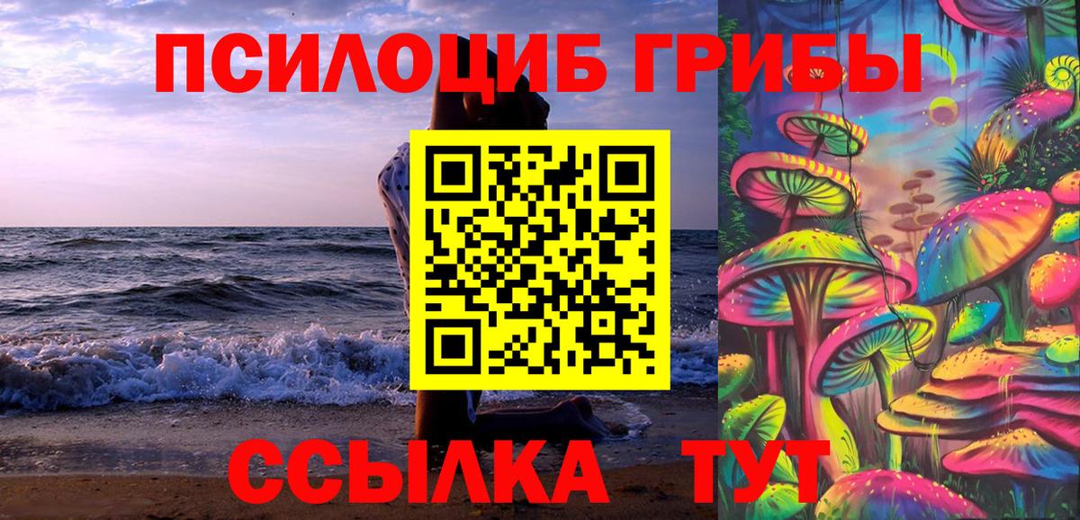 Псилоцибиновые грибы мицелий Карачаевск