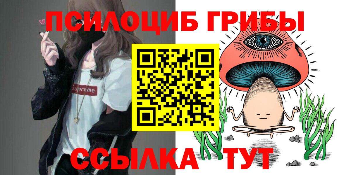 Карачаевск  Псилоцибиновые грибы GOLDEN TEACHER  Вход с VPN 